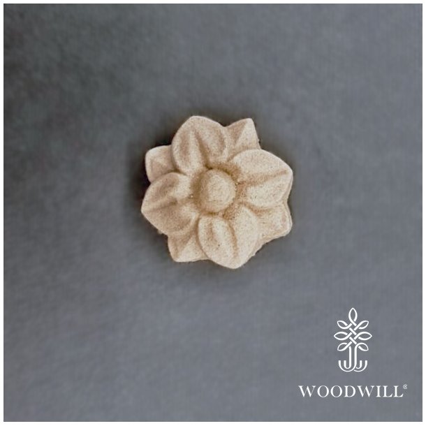 Woodwill Trudskring, 3,8 cm.
